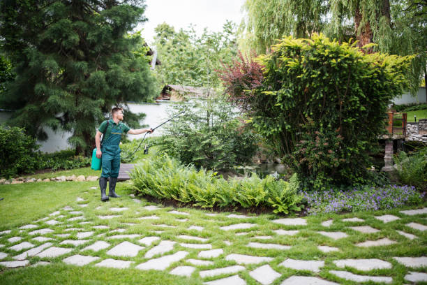 Best Best Pest Control Companies  in Homewood, SC