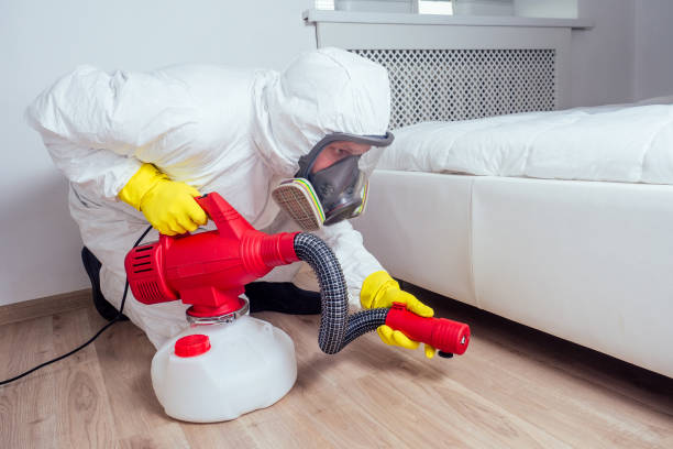 Best Pest Removal Services  in Homewood, SC