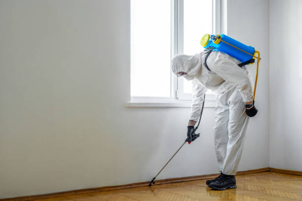 Best Pest Control for Homes  in Homewood, SC