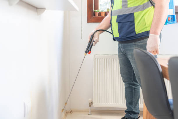 Best Wasp Removal Services  in Homewood, SC