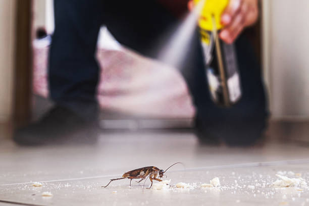 Best Best Pest Control Companies  in Homewood, SC
